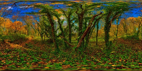 Quimper, Kervoalic, fresh green in the golden autumn forest 5696