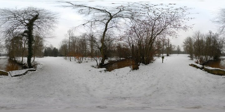 Cold Ducks