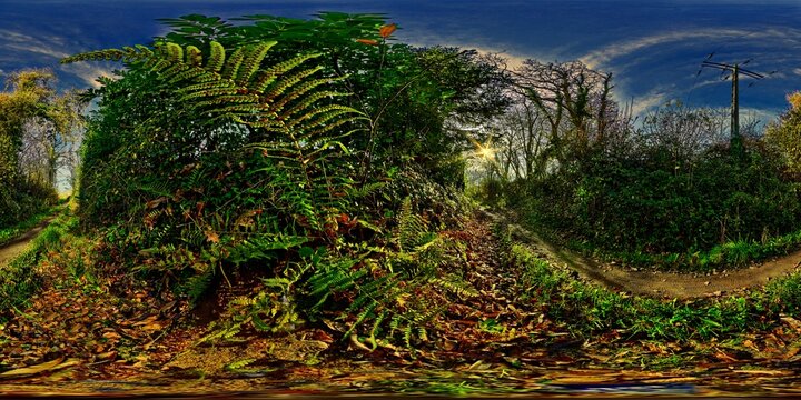 Quimper, Bourdonnel, allee de kervoalic, chemin creux, autumn, fern, sunshine 4925