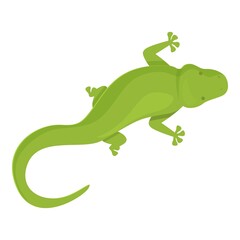 Iguana icon cartoon vector. Lizard animal. Reptile tribal