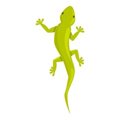 Fototapeta na wymiar Green tattoo reptile icon cartoon vector. Gecko lizard. Animal tribal