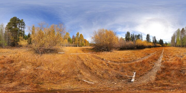 NF 730 aspens [2]