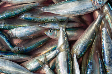 Fototapeta premium fresh fish at the market