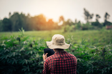 A smart farmer checking crop integrity and maintenance planning for good yields.