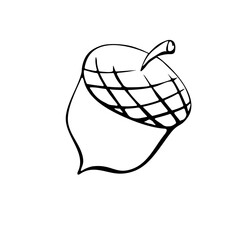 Vector simple hand drawn illustration of a acorn isolated on white background, black outline. Nature, forest clip art, black and white Doodle.
