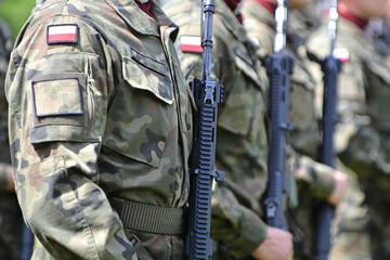 Polscy żołnierze ustawieni w szeregu.