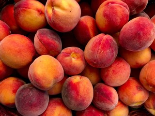 Sweet ripe Peaches background. Many fresh fruits, top view