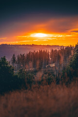 Beatiful sunset over the hill with forest and clouds