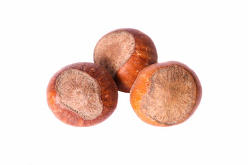 Three shelled hazelnuts