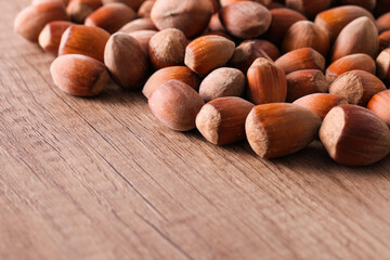 Hazelnuts in shell