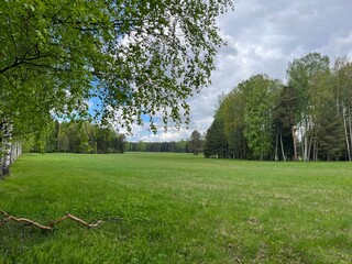 green field and forest background, cloudy sky