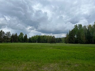 green field and forest background, cloudy sky