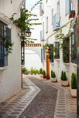 Cordoba street decorated with flowers in Spain. 