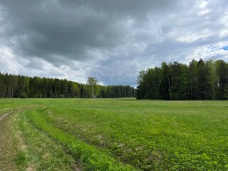 green field and forest background, cloudy sky