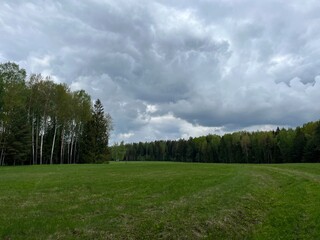 Fototapeta premium green field and forest background, cloudy sky