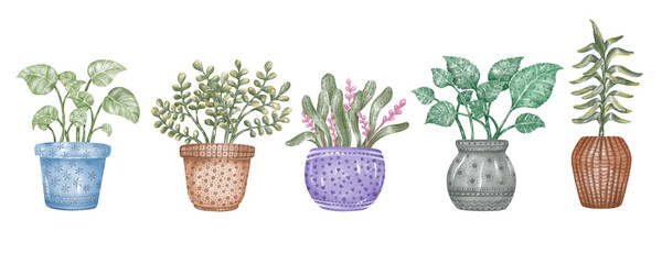 Watercolor plant pot graphic illustration on white background for digital printing, decoration, scrapbook, card, home decorations, canvas print, stickers, backgrounds, paper patterns, and more.