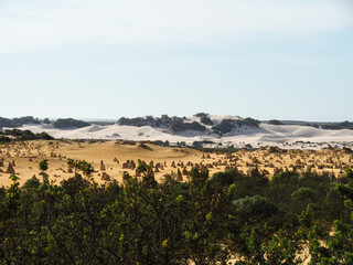 The Pinnacles Desert in Western Australia