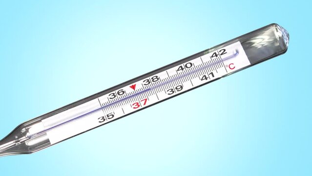 Clinical analog thermometer, mercury free, calibrated in degrees centigrade that quickly increases temperature up to 38.5 degrees celsius. Fever or illness concept