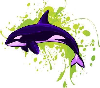Killer Whale Spirit Orca Jumping Vector illustration