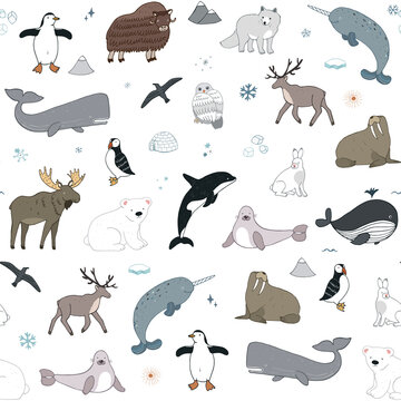 Arctic north animals vector seamless winter pattern