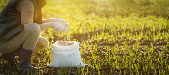 Female hand with fertilizer for plant over soil background