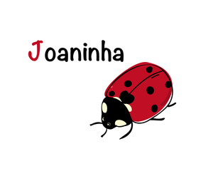Portuguese alphabet with a picture of a ladybug. Translation from Portuguese: ladybug. Vector doodle hand drawn illustration