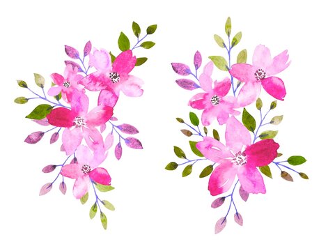 Floral arrangements of bright pink flowers and leaves. watercolor illustration