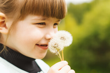 Happy, sweet little girl blowing on a dandelion. Funny little girl blows on the head of a dandelion in a green meadow. A charming baby blows on a dandelion on a sunny day.Children's outdoor recreation