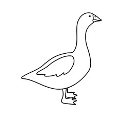 Vector hand drawn flat goose duck isolated on white background