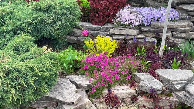 Landscape design, an element of rockery - a beautiful composition of stones and plants. Idyllic rock garden with colourful flowers
