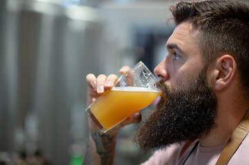 Bearded man examining the quality of craft beer at brewery