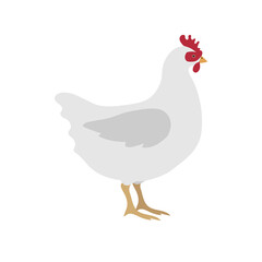 Vector hand drawn flat chicken hen isolated on white background