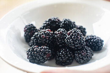 Close-up of fresh blackberries in a white plate. Mulberry.