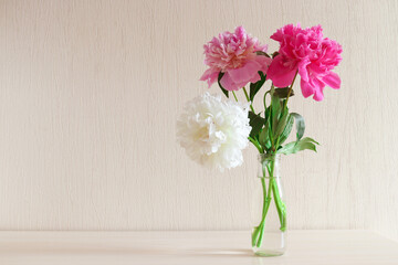 Delicate bouquet of three white, pink and dark pink peonies stands on the table. Minimalism in the home interior, flower arrangement