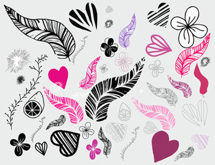 Set of illustrations for design. Feathers for illustration. Elements for illustration.