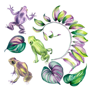 Set of colorful leaves, frogs watercolor illustration