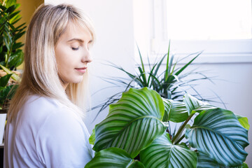 Naklejka premium Portrait of a young blonde woman who holds house plant with large leaves.