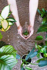 Unrecognized woman holds mini terrarium with plant in her hand. Close up photo.