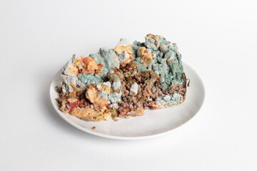 Spoiled food in mold on a plate. Buckwheat porridge and meat, for anti-advertising of cafes and establishments