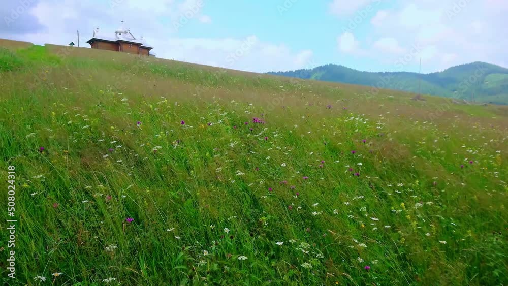 Poster The swaying grasses on mountain meadow, Verkhovyna, Carpathians, Ukraine