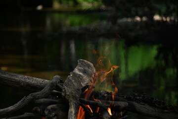 Fire burned by the stream in the forest