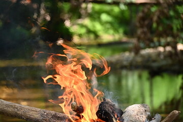 Fire burned by the stream in the forest