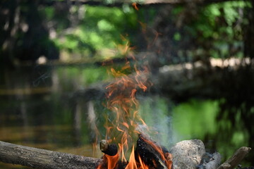Fire burned by the stream in the forest