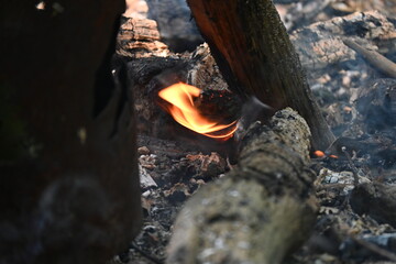 Fire burned by the stream in the forest