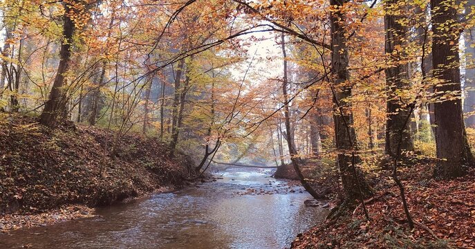 Beautiful autumn landscape with small river. Multicolour photography