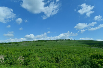 daytime landscape green alpine meadows