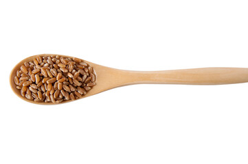 Wooden spoon, loaded, fresh, buckwheat, white background