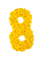 Figures from dandelion flowers isolated on a white background. Figure 8