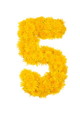 Figures from dandelion flowers isolated on a white background. Figure 5