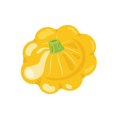 Yellow squash or patisson, flat style vector illustration isolated on white background